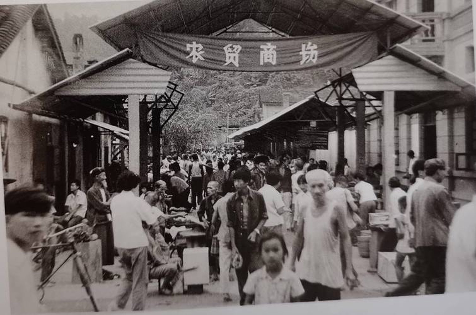 顺智供应信息